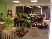 The Selsey Florist 283062 Image 7